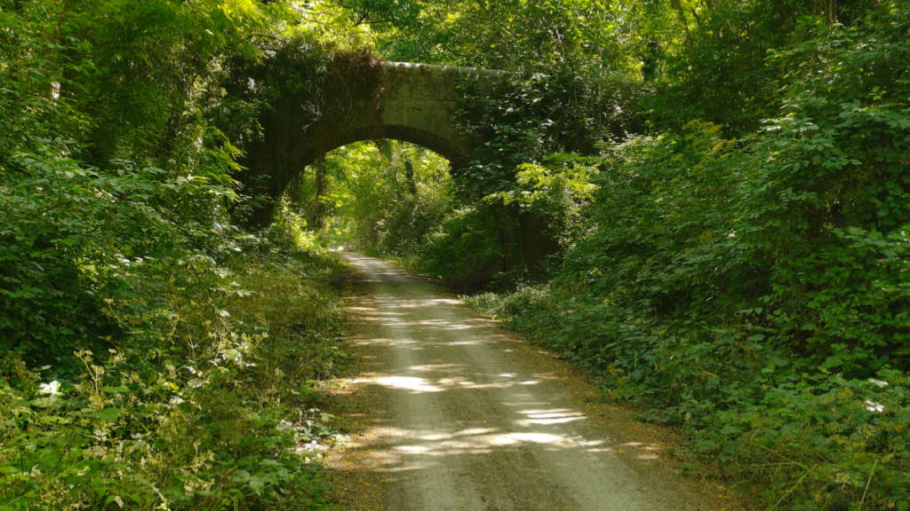 Via Ardèche à vélo à assistance électrique