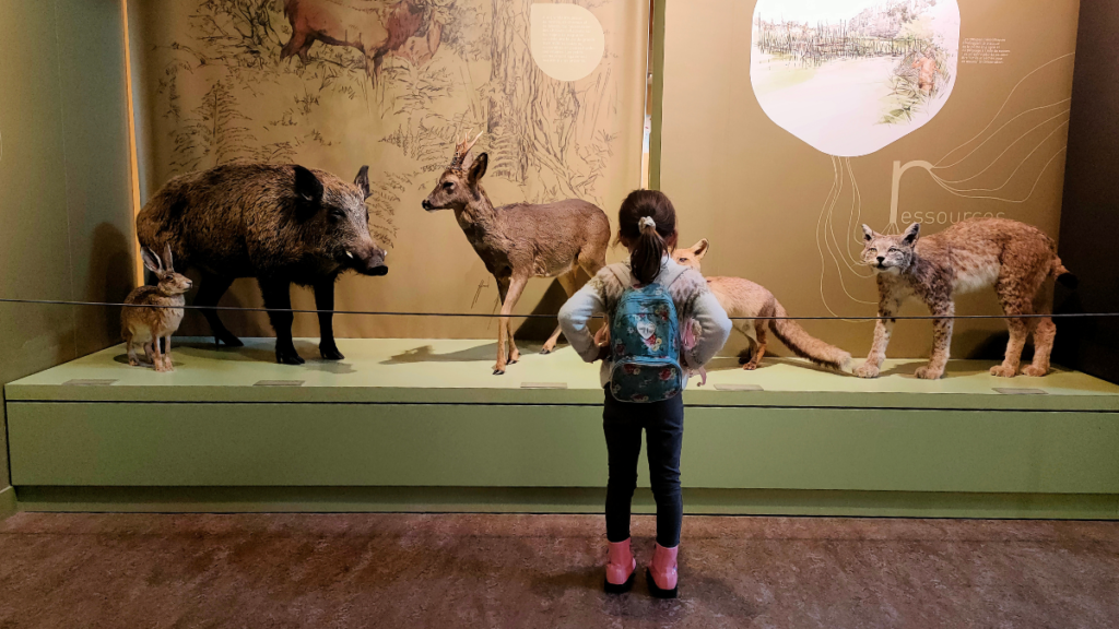 Grotte Aven d'Orgnac en Ardèche musée Cité de la Préhistoire