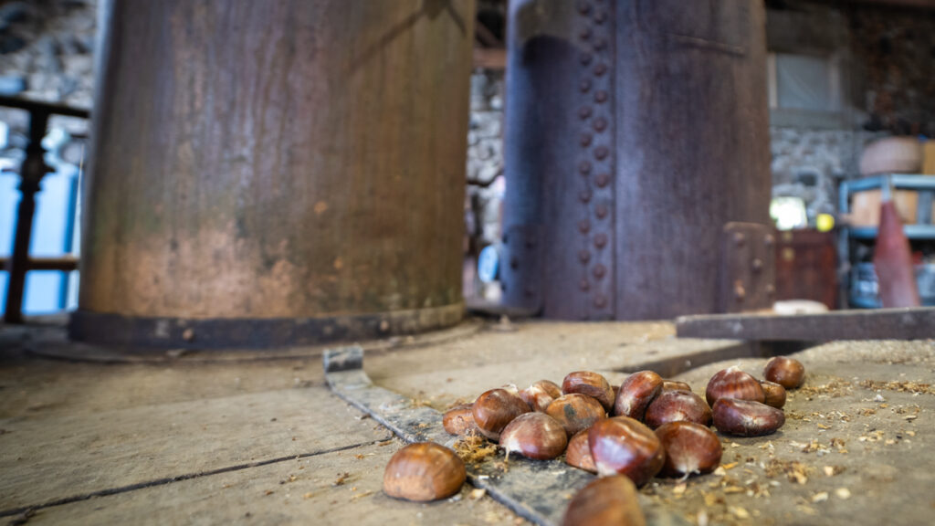 Châtaigne Distillerie Helvia en Ardèche