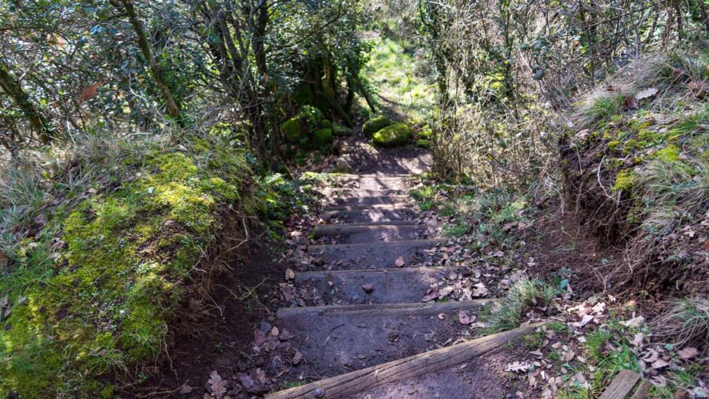 Sentier pédestre en Ardèche