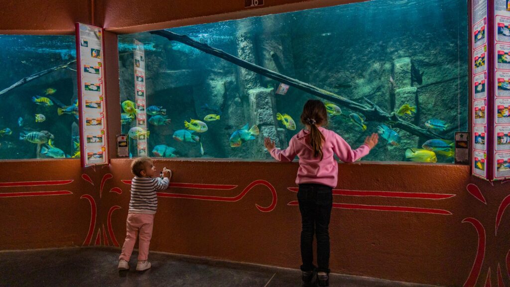 Aquarium des tropiques à Allex