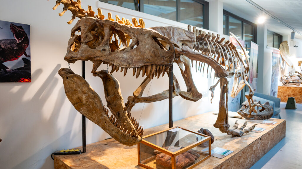 musée de balazuc dinosaures vacances de la toussaint