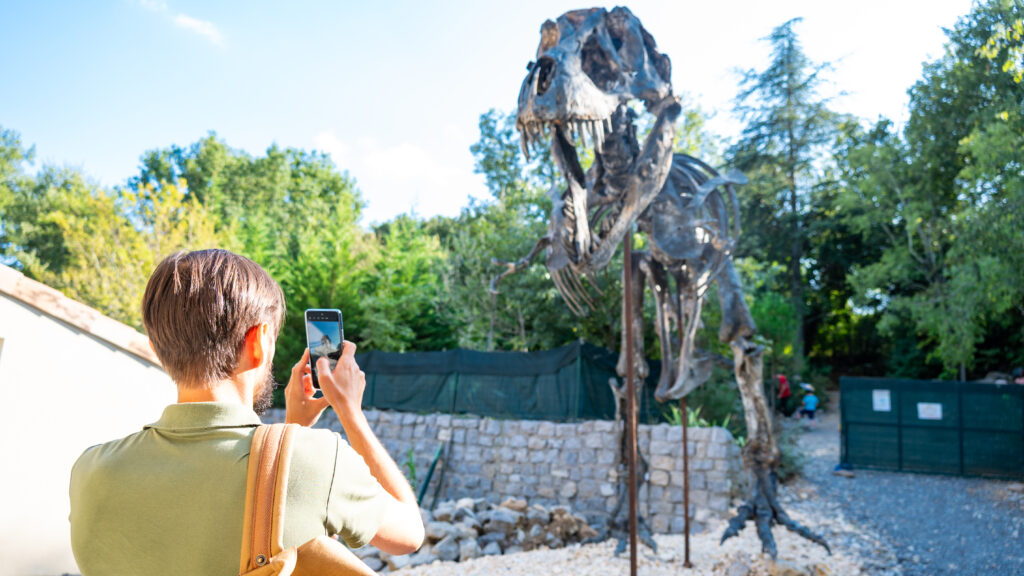 Trex tyrannosaure à Balazuc Ardèche