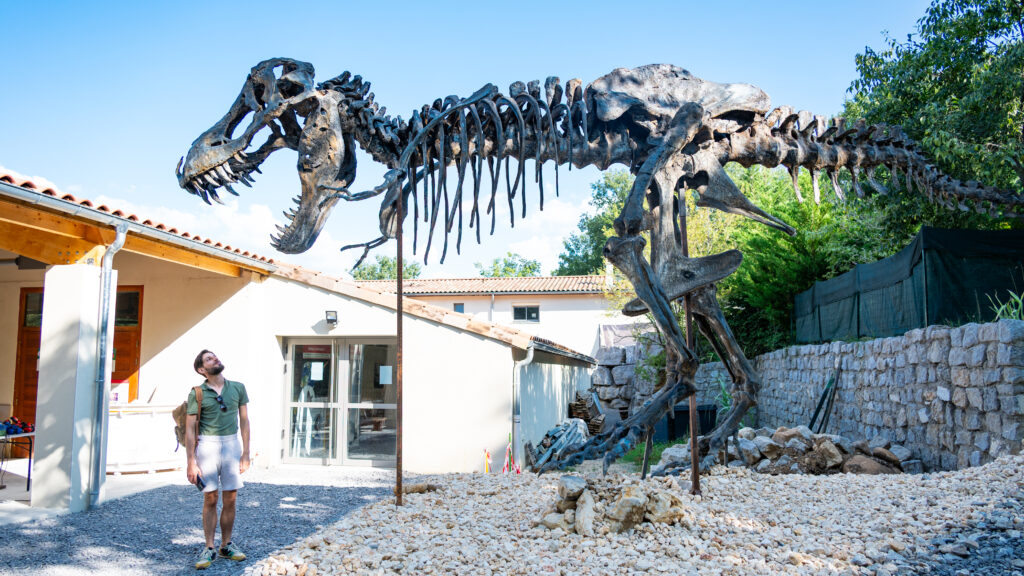 Trex tyrannosaure à Balazuc Ardèche