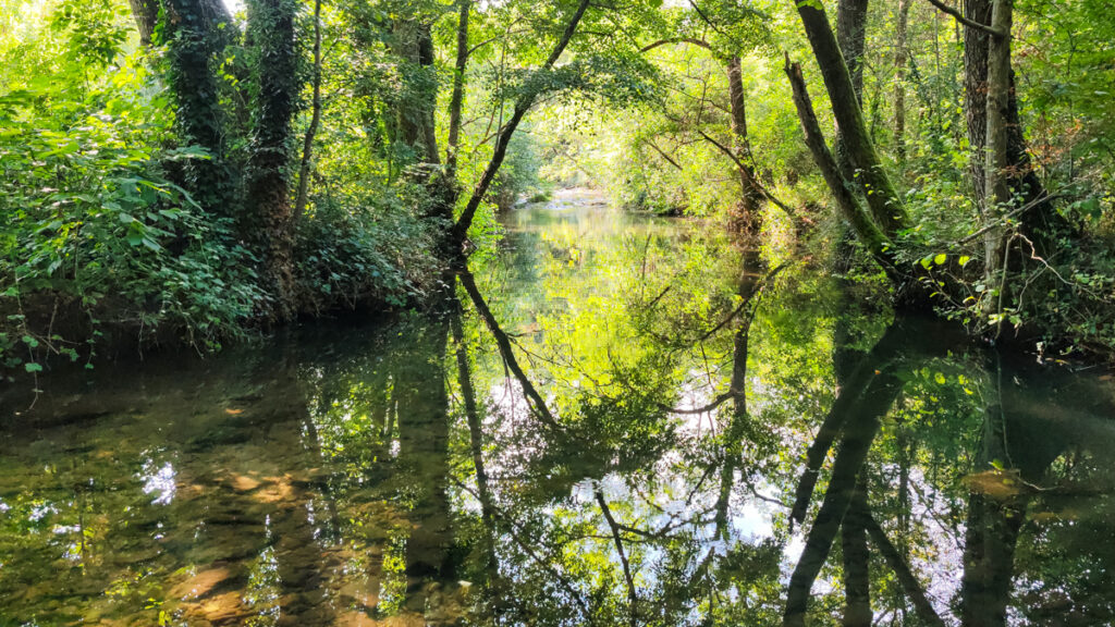 Coin de baignade secret rivière