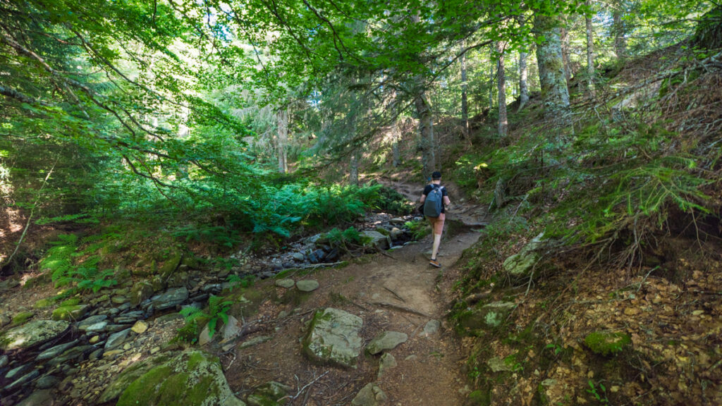 Sentier d'interprétation des sources de la Loire en Ardèche