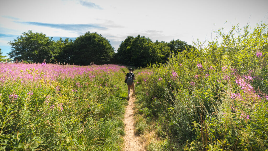 Sentier des sources de la Loire à Ste Eulalie