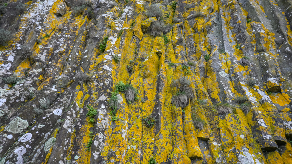 Falaise basaltique du Coiron à Mirabel
