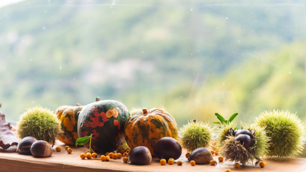 Vacances de la Toussaint en Automne en Ardèche Halloween