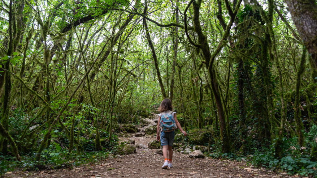 Sentier du bois de Paiolive Ardèche avec enfant sans voiture