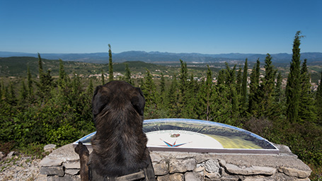 Balade avec son chien en Ardèche pendant les vacances