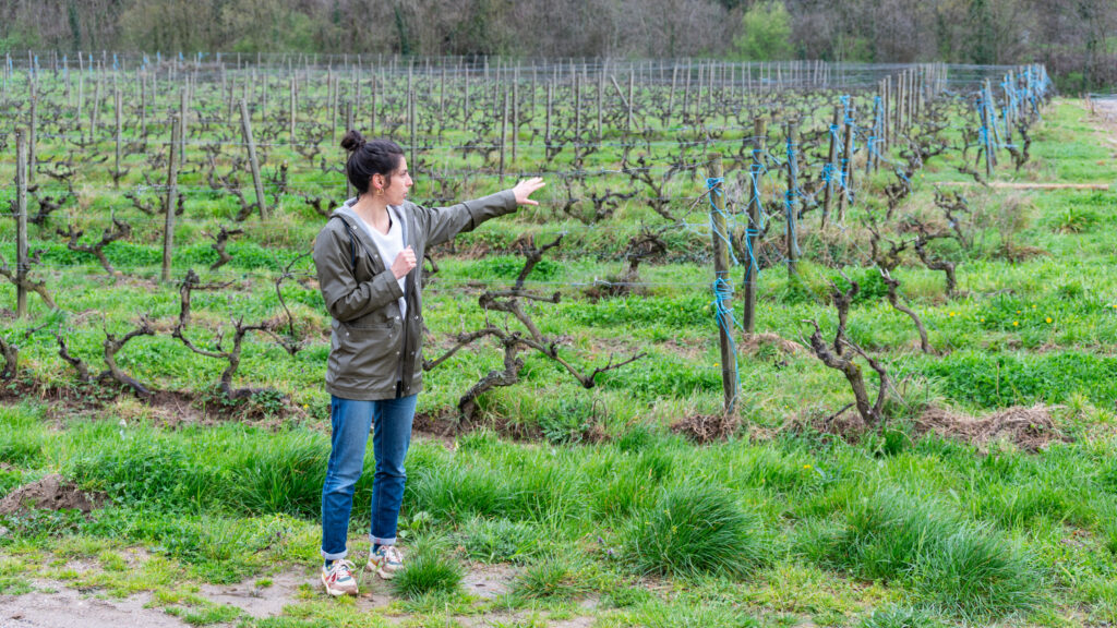 Visite du vignoble Mirabel Charmis vin Ardèche