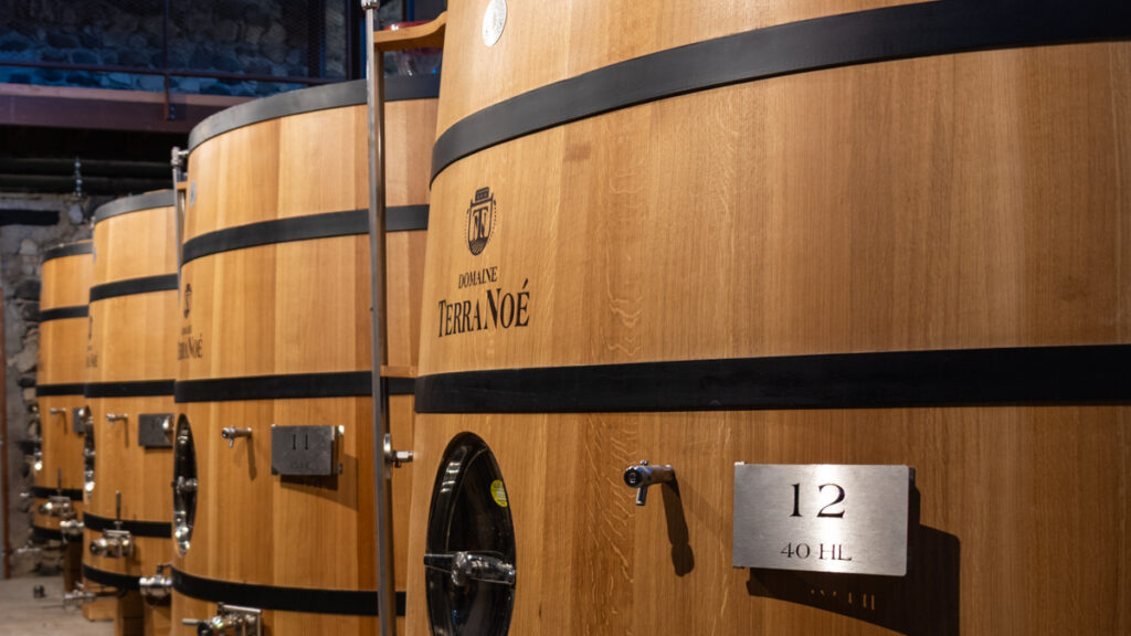 Domaine Terra Noé vin Ardèche