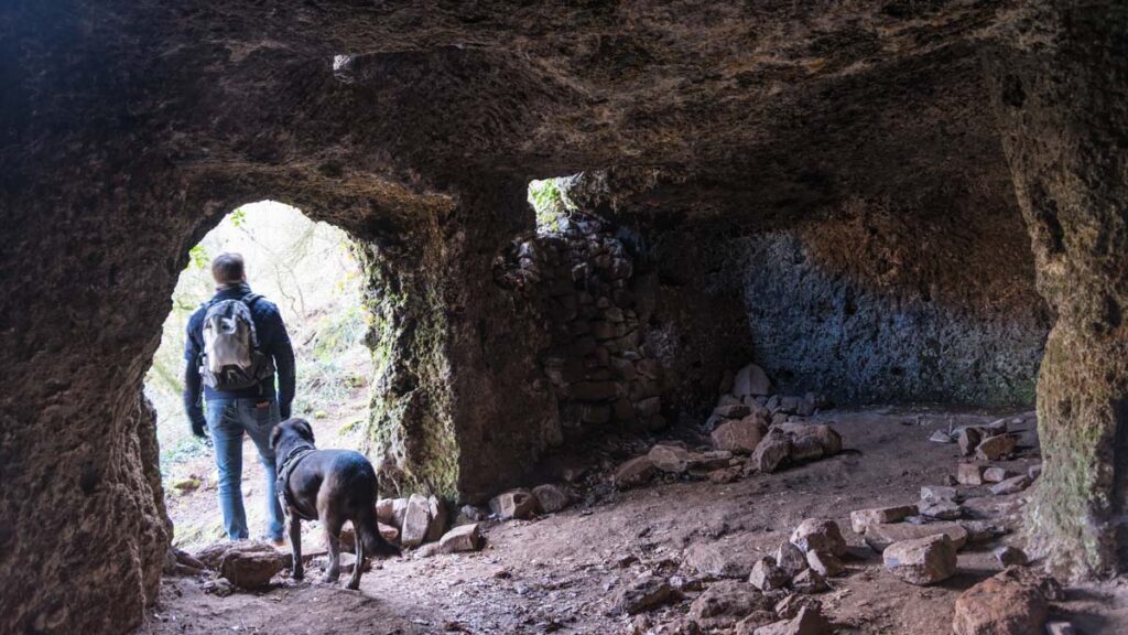visiter l'Ardèche avec son Chien